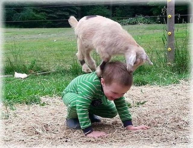 Lief en leuk.